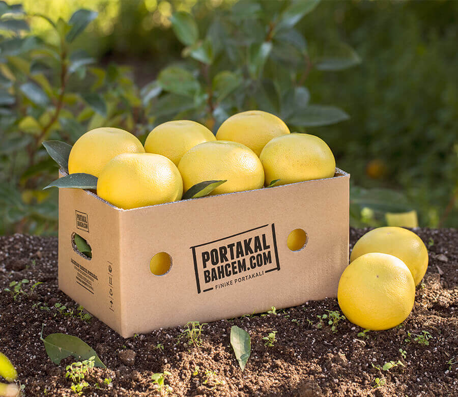 /images/category/090806Beyaz Greyfurt.jpeg